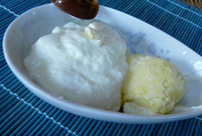Recette de yaourt maison au lait cru au déshydrateur